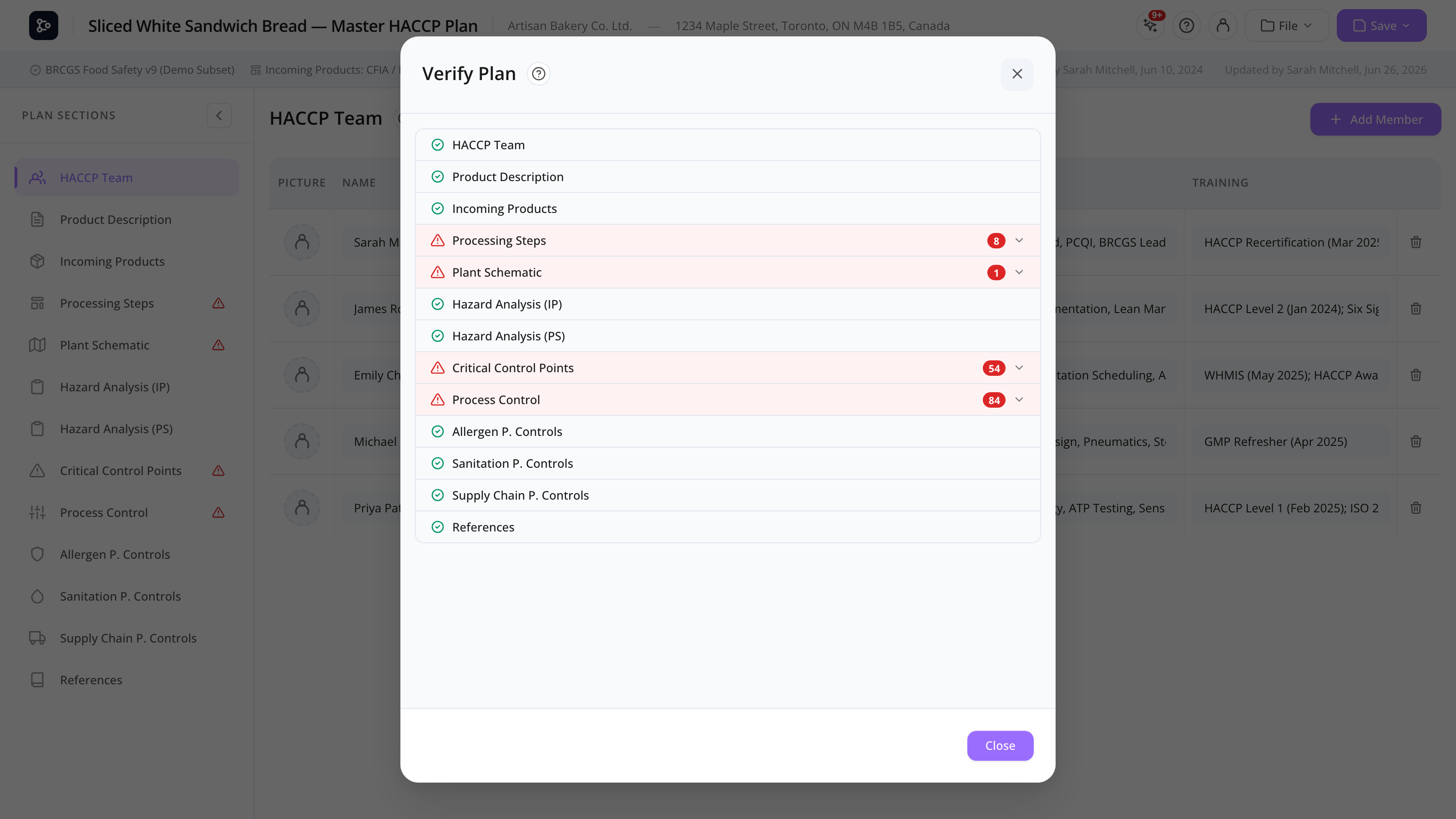 The Verify Plan modal listing each section with a pass or warning status